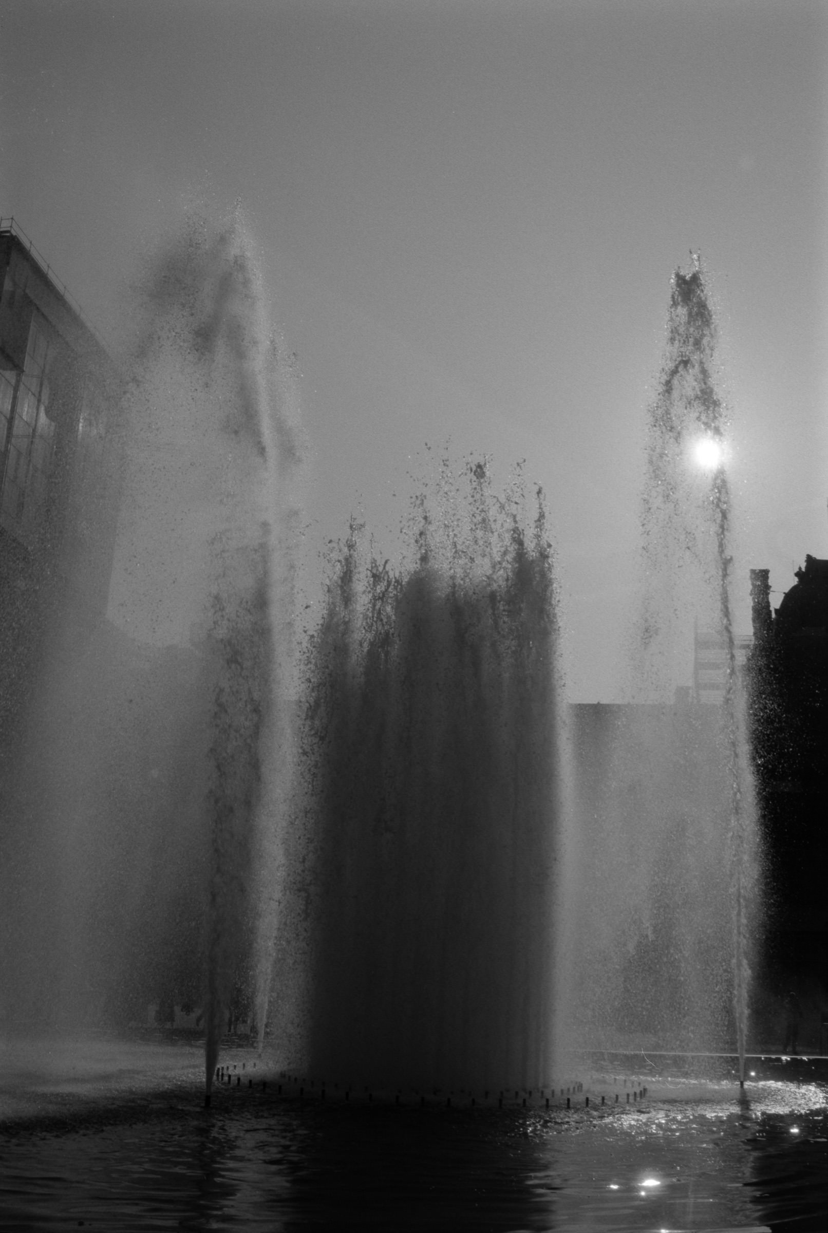 AHP F1990 09 001 sc240801 img02 NLP